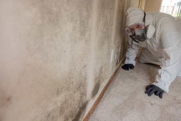 Best Residential Mold Inspection & Testing  in Churchill, MT